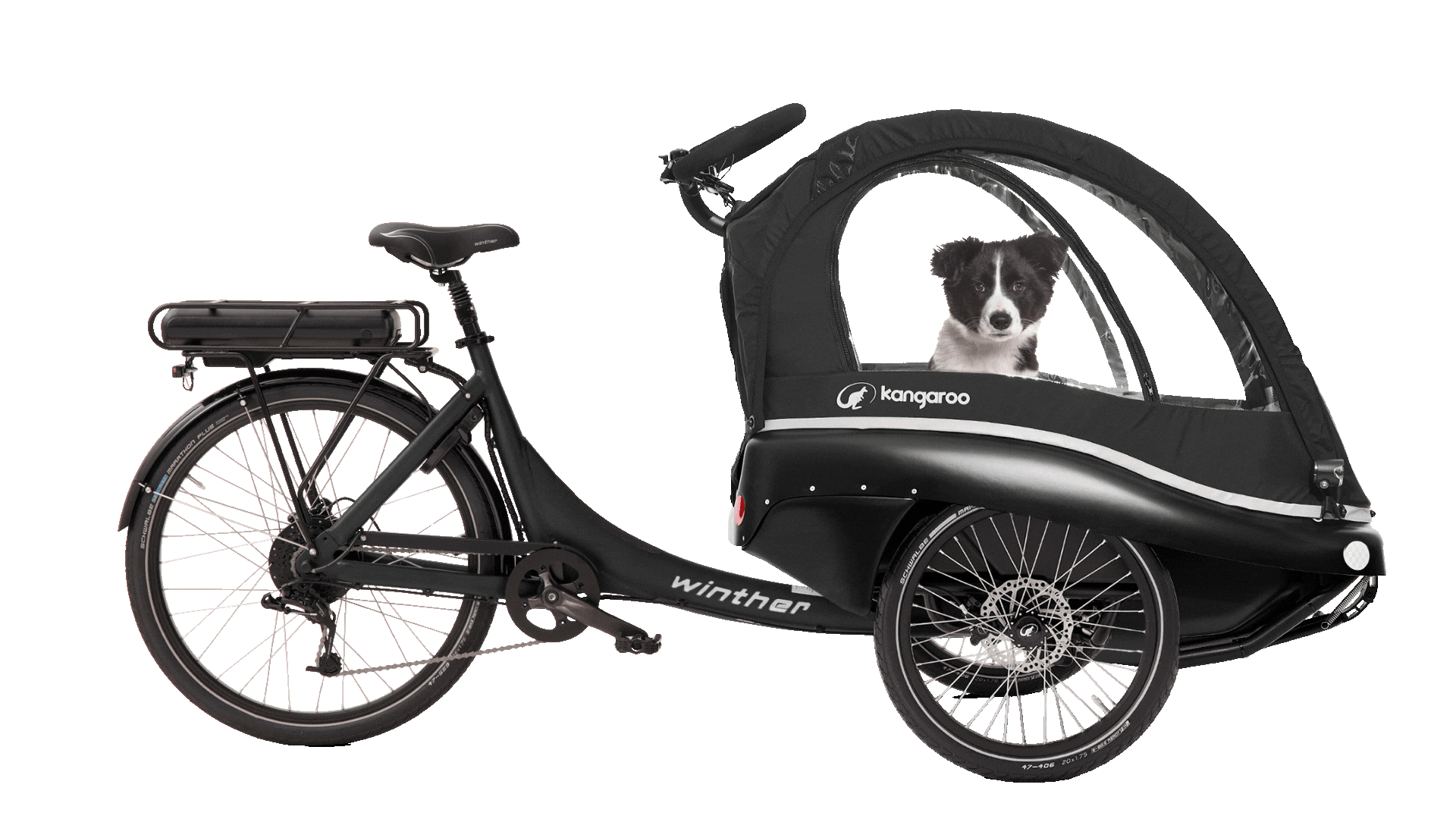 Copy of Kangaroo Luxe